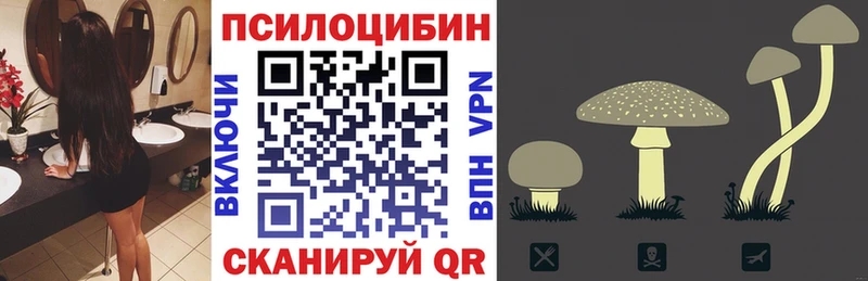 Псилоцибиновые грибы Magic Shrooms нарко площадка наркотические препараты Заводоуковск сколько стоит